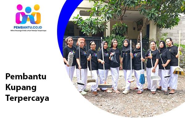Pembantu Kupang Terpercaya